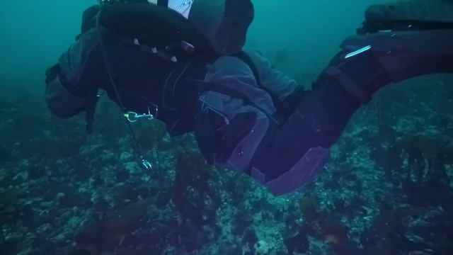 Дайвинг на Баренцевом море смотреть онлайн
