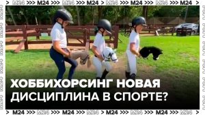 Хоббихорсинг могут включить в программу спортивных игр БРИКС — Москва 24