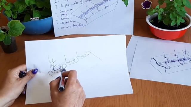 Томаты При высадке томатов в грунт делаем так Для хорошего урожая Высокорослые томаты Tomato смотреть онлайн