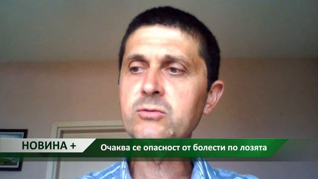 Новина плюс: Опасност от болести по лозята, автор: Камелия Карадочева смотреть онлайн
