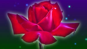 Футаж. Цветочный фон 76