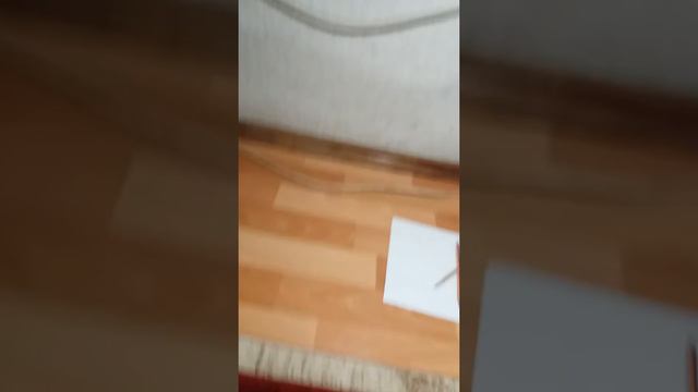 Вызов Чарли!!!он двигается !!! смотреть онлайн