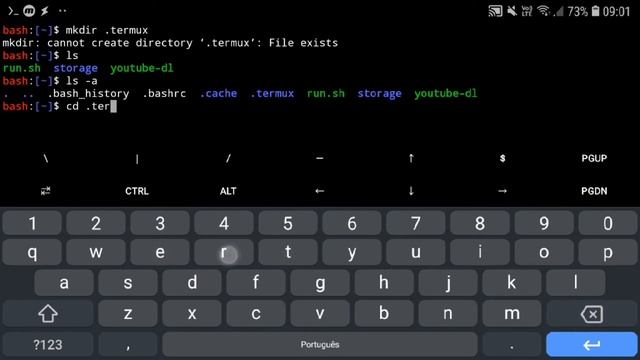 Executar o Termux sem plugins pelo Tasker смотреть онлайн