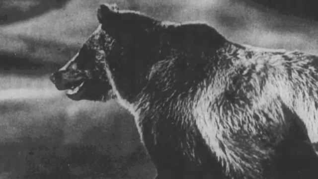 Alaska's Abandoned Igloo Dome смотреть онлайн