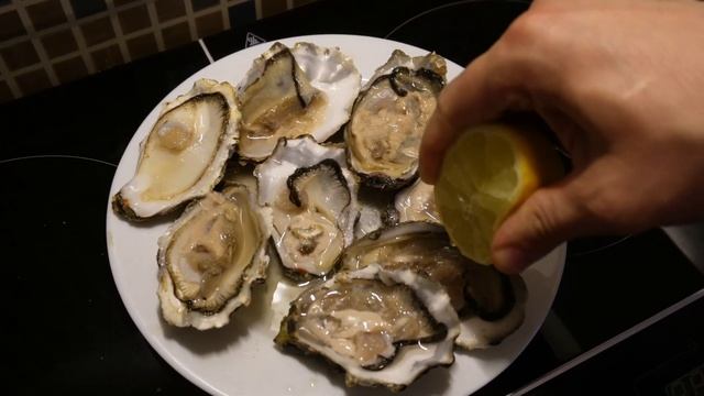 Устрицы интересные факты про устриц как они растут и как их кушать смотреть онлайн