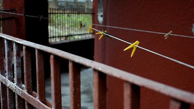 Анна Ахматова и самый необычный дом Тулы смотреть онлайн