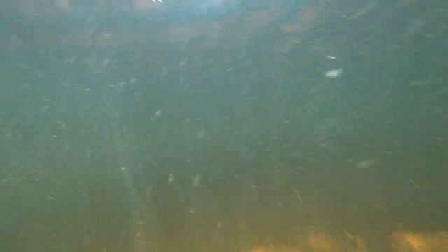 Подводная съемка озеро Саида SONY AS300 смотреть онлайн