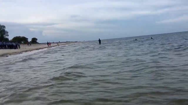 TAFADHARI USIANGALIE HII VIDEO KAMA UNAPENDA KUOGELEA😭😭😭😭😭 смотреть онлайн