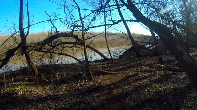 Видеозарисовка - Весенняя прогулка в лесу . #Релаксация ( Для тех кто дома.) 4k смотреть онлайн