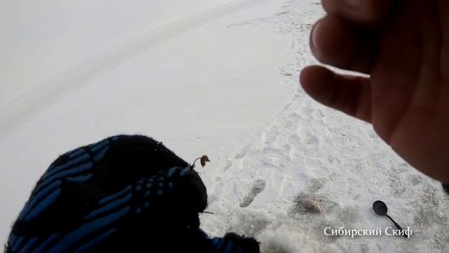 Рыбалка. Леска трещала. МОРМЫШКИ ГНУЛИСЬ. КАРАСИ ГИГАНТЫ. РЫБАЛКА на ГОРБУНЦА смотреть онлайн