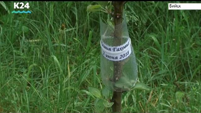 Большой плодовый сад появился в Бийске смотреть онлайн