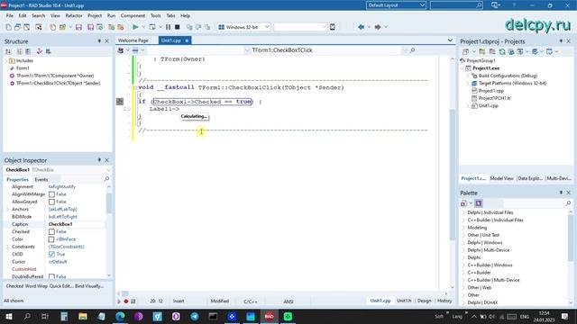 CheckBox C++. Embarcadero. смотреть онлайн
