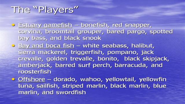 Flyfishing Magdalena Bay with Kim Zetterberg - Part 2 смотреть онлайн