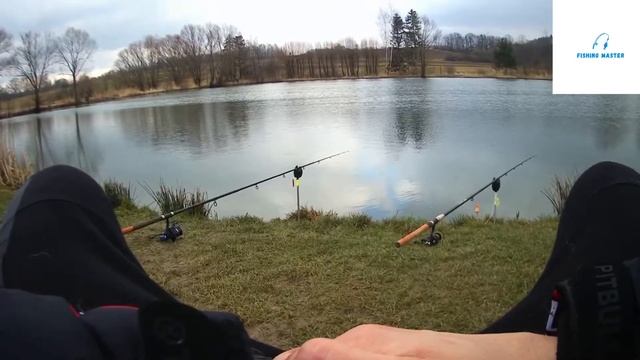 Рыбалка на сазана в Польше , мощные поклёвки , секреты рыбалки в Польше смотреть онлайн