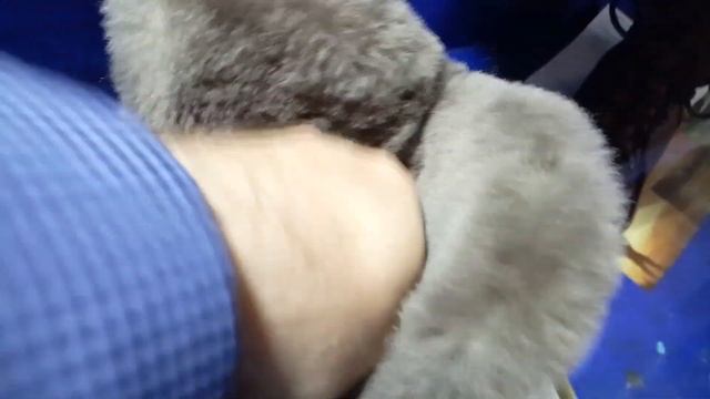 Обзор ботинок вип трэвл от хсн для похода смотреть онлайн