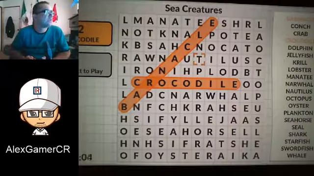 Word Search - Sopa De Letras Gameplay