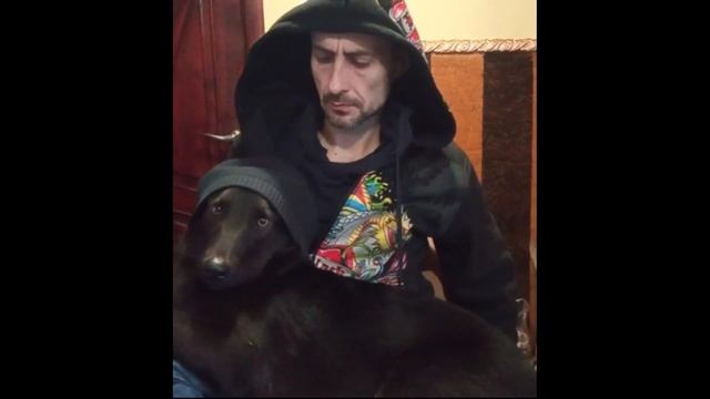 МЫ смотреть онлайн