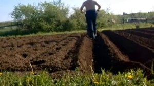 SunGarden Добрыня 7.0, 2 года эксплуатации, посадка картошки 2014 год