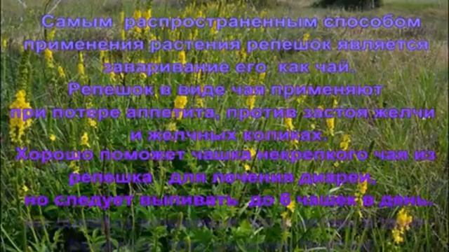 Как готовить настой репешка? смотреть онлайн