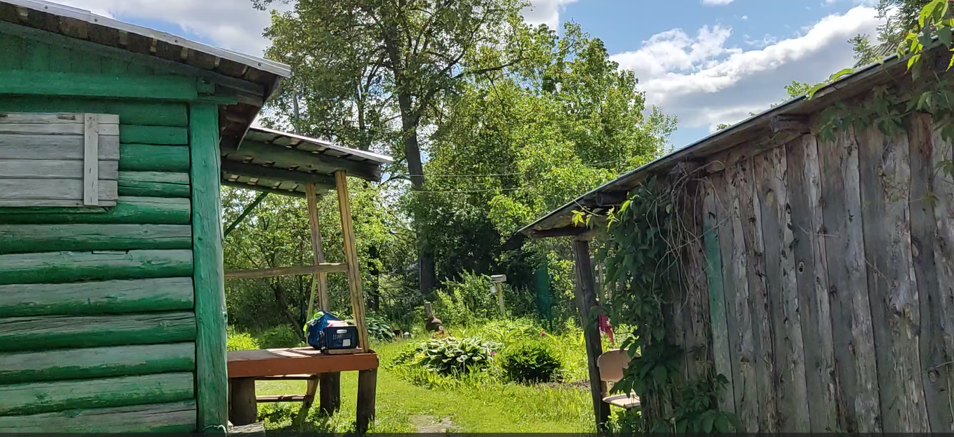 Обзор земельного участка вокруг деревенского дома. Проект Кожино. Появились жильцы. 10062023.