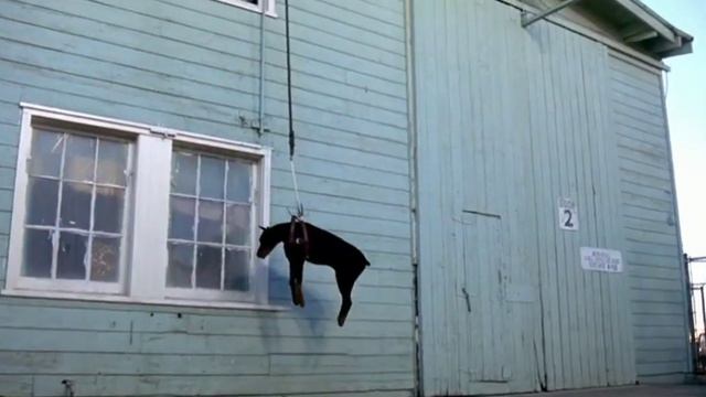 Naked Gun 1988 Movie Funny Video: Climbing Through Dog смотреть онлайн