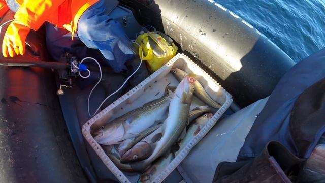 УДАЧНОЕ ЗАКРЫТИЕ СЕЗОНА МОРСКОЙ РЫБАЛКИ / SUCCESSFUL CLOSING OF THE SEA FISHING SEASON смотреть онлайн