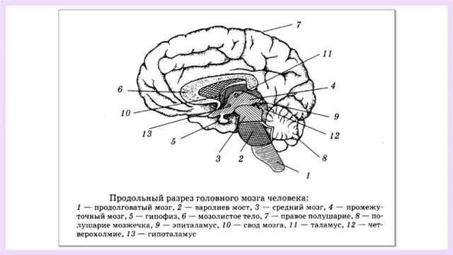 result 1 смотреть онлайн