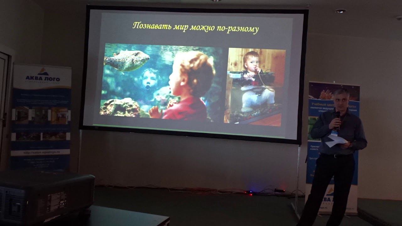 Социальная роль аквариума смотреть онлайн