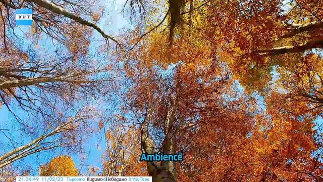 Видимо и Невидимо ТВ HD - Сегмент от канала (02.11.2023) смотреть онлайн