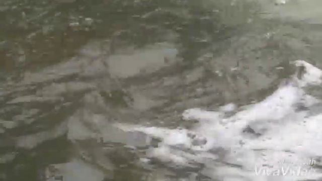 Перуанская Пан флейта ,на фоне кыргызского пейзажа смотреть онлайн