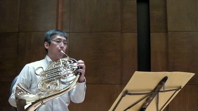 YouTube Symphony Orchestra 2011 Audition Horn смотреть онлайн