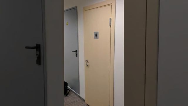 Петля доводчик для туалетов смотреть онлайн