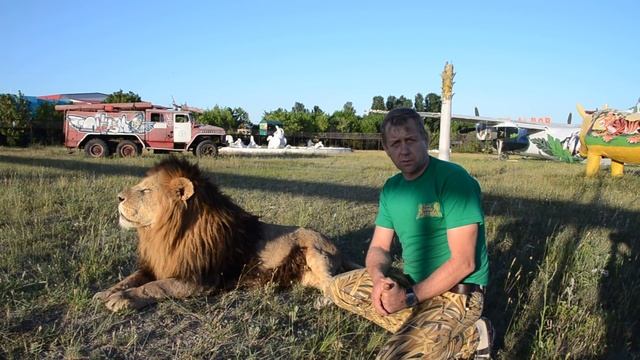 КРУТОЕ ВИДЕО !!! Про родившую львицу и "дрессировку":)) Сэма !!! Тайган .Крым смотреть онлайн