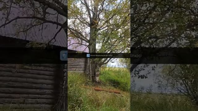 Поход на Воже 2 часть смотреть онлайн