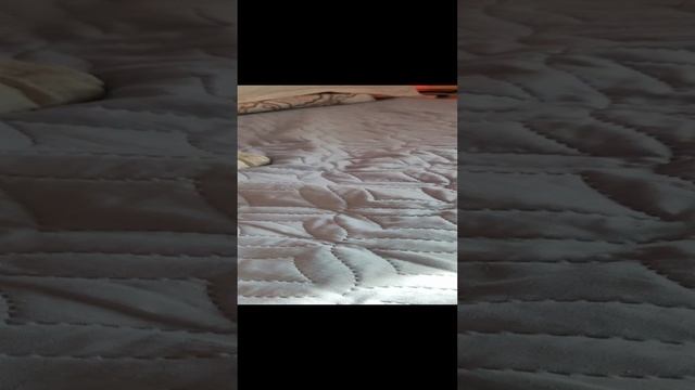 СКИБИДИ звери. захватили мир 2 смотреть онлайн