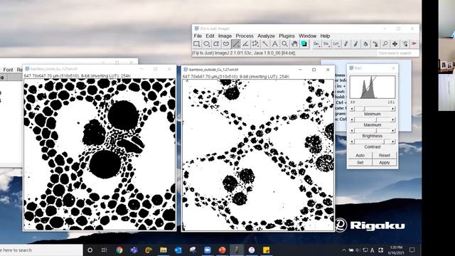 Rigaku Virtual Workshop 4: X ray Computed Tomography - CT Data Analysis Techniques Using ImageJ смотреть онлайн