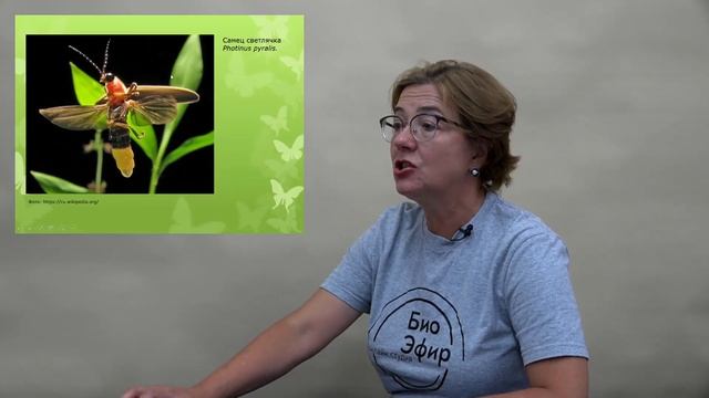 Как понять язык животных смотреть онлайн