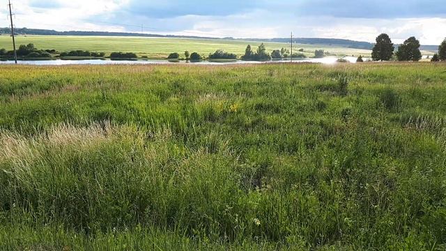 Лето, природа, река, хорошая погода (Подмосковье) смотреть онлайн