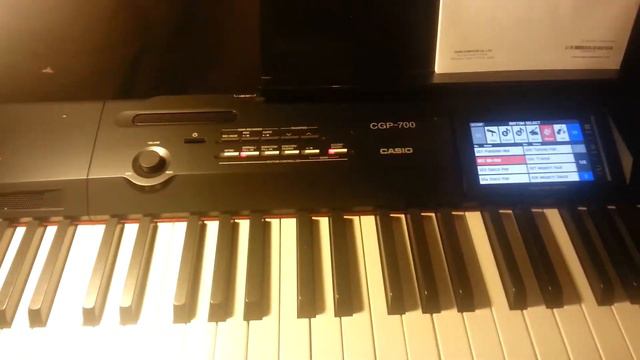 Casio MGP-700 VannahD смотреть онлайн