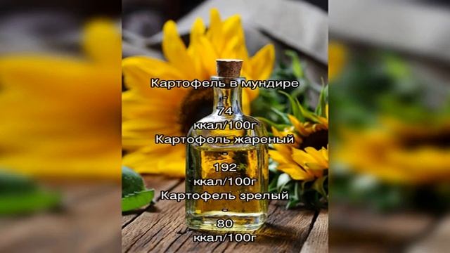Картошка капуста морковь лук рагу смотреть онлайн