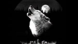 БЕЛЫЙ ВОЛК -2.wmv СТИХИ ВЕРА ГИОРГАДЗЕ