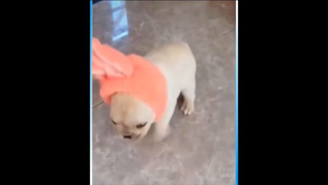 Как Прекрасен этот Мир!!! смотреть онлайн