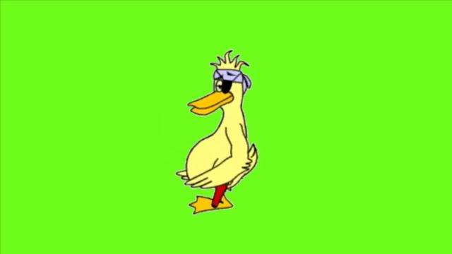 Футаж на хромакее пиратская утка смотреть онлайн