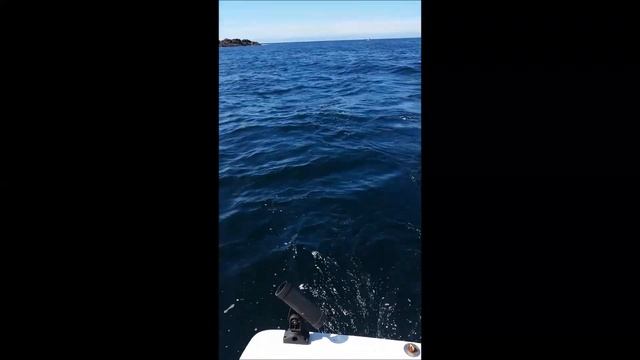 Faye Fishing2 смотреть онлайн