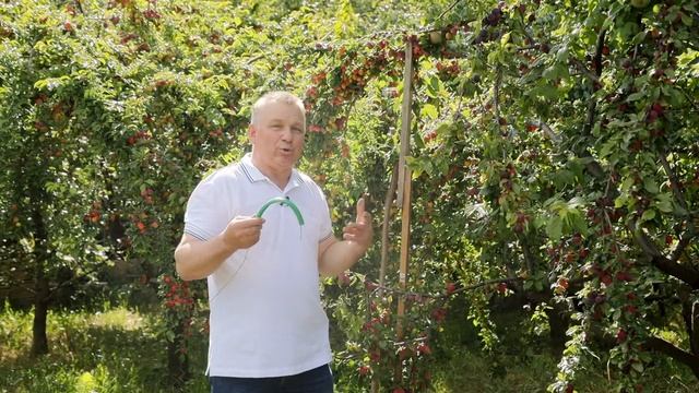 Лучшая подпорка для сохранности урожая смотреть онлайн