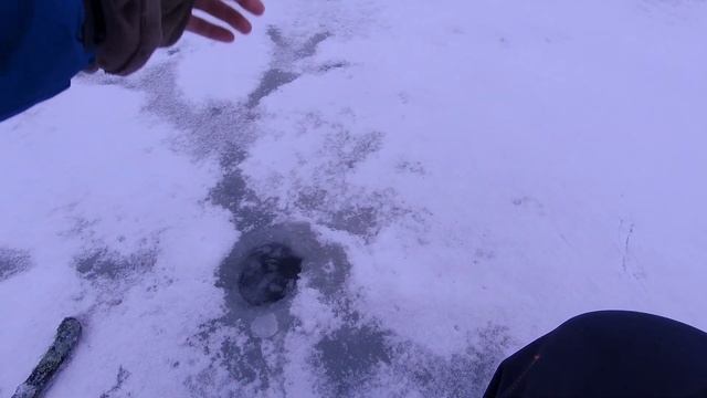 ПЕРВЫЙ ЛЕД после слома погоды! Открытие сезона 21-22! рыбалка в Подмосковье смотреть онлайн