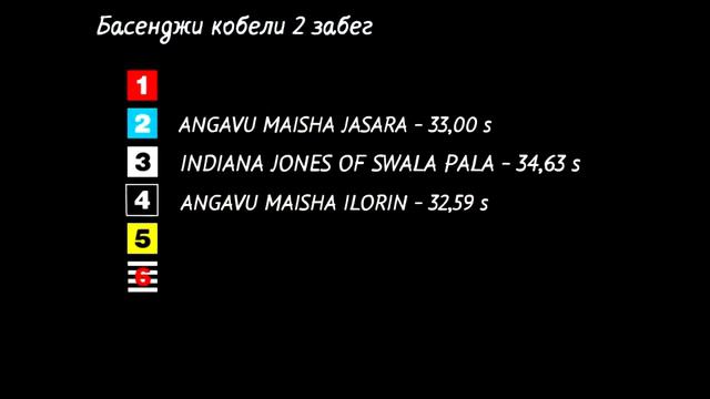 "Победитель Клуба - 2018": Басенджи смотреть онлайн