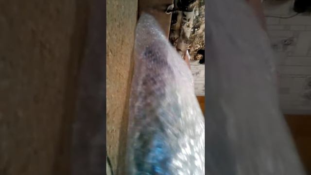OMG болшая пупырчатая плёнка на весь ковёр!!! 😱😱😱😎😎😎 смотреть онлайн