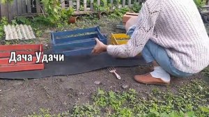Как сделать интересную клумбу из простых ящиков своими руками? Дача Удачи