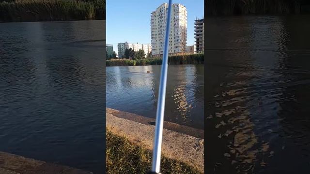 Лодка на радиоуправлении смотреть онлайн